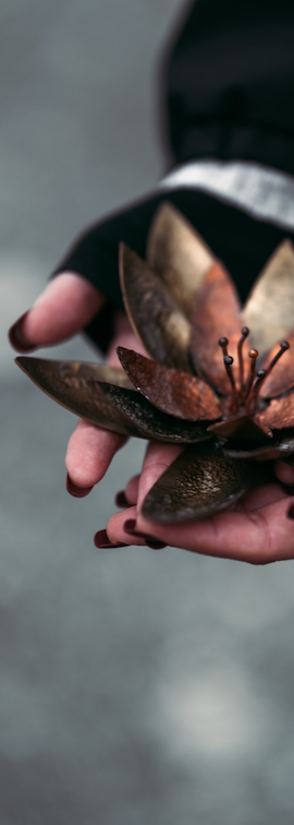 Marina Gutschi, BA. - Existenzanalyse