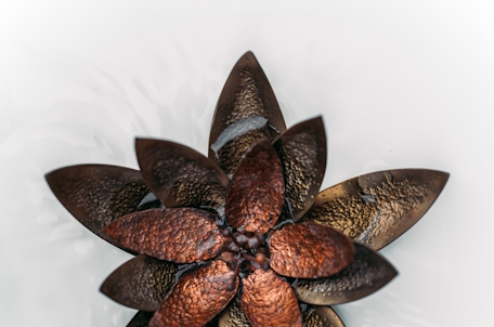 Marina Gutschi, BA. - Existenzanalyse