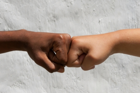 Foto von diversen Händen