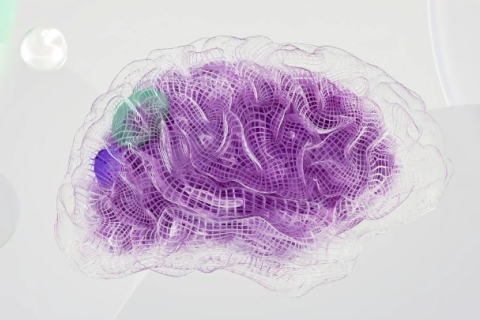 Illustration eines lilafarbigen Gehirns