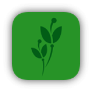 Portraitfoto Mag.a Maria Jochinger