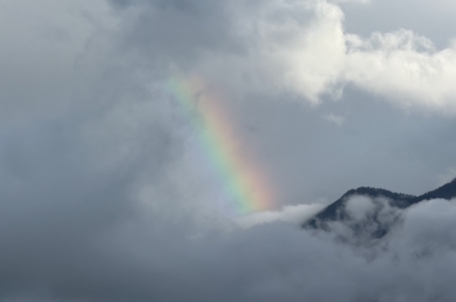 DDr.in Ina Tschikof - Psychotherapeutin in Ausbildung unter Supervision